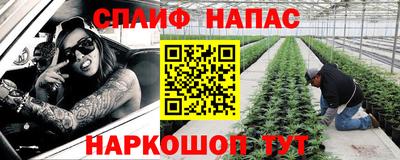 ГАЛЛЮЦИНОГЕННЫЕ ГРИБЫ Тверь