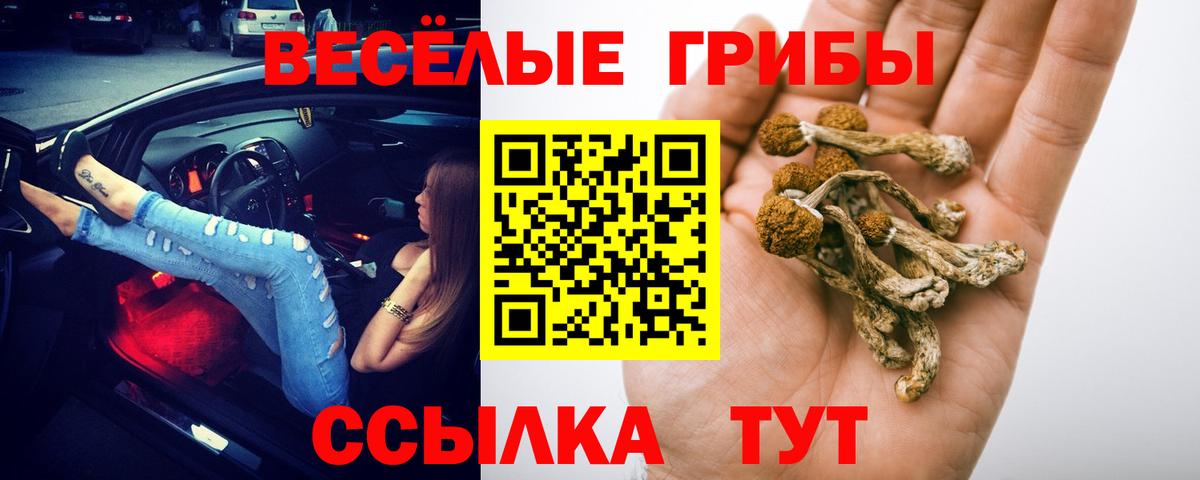 Галлюциногенные грибы мухоморы  Вход с VPN  Вышний Волочёк 